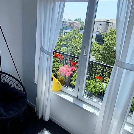 33 Coquette Apartment Baia Mare Ngoại thất bức ảnh