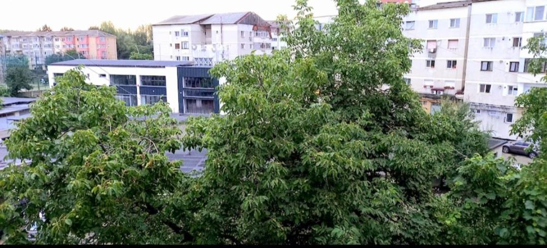 33 Coquette Apartment Baia Mare Ngoại thất bức ảnh