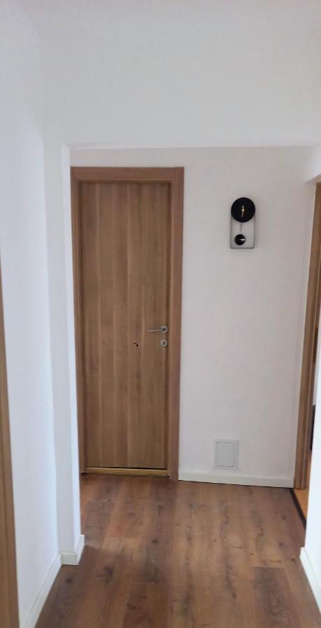 33 Coquette Apartment Baia Mare Ngoại thất bức ảnh