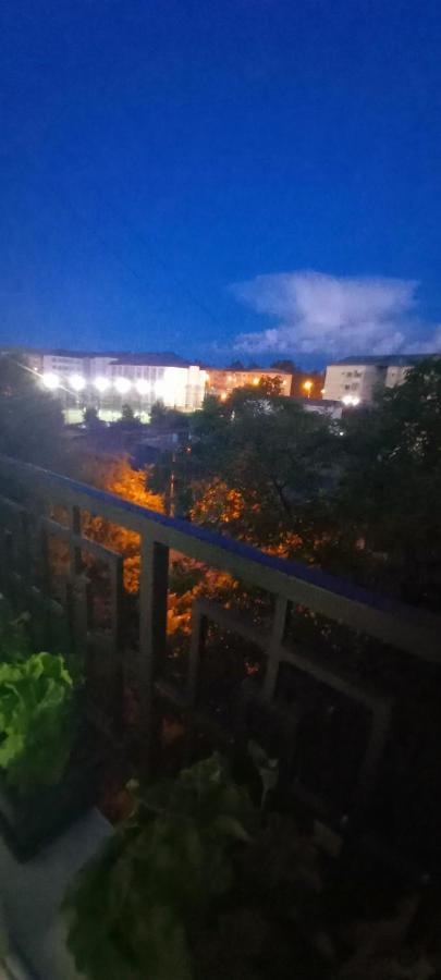 33 Coquette Apartment Baia Mare Ngoại thất bức ảnh