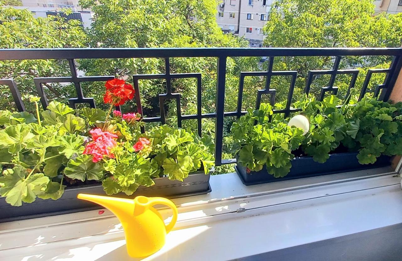 33 Coquette Apartment Baia Mare Ngoại thất bức ảnh