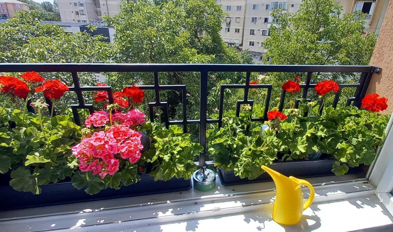 33 Coquette Apartment Baia Mare Ngoại thất bức ảnh