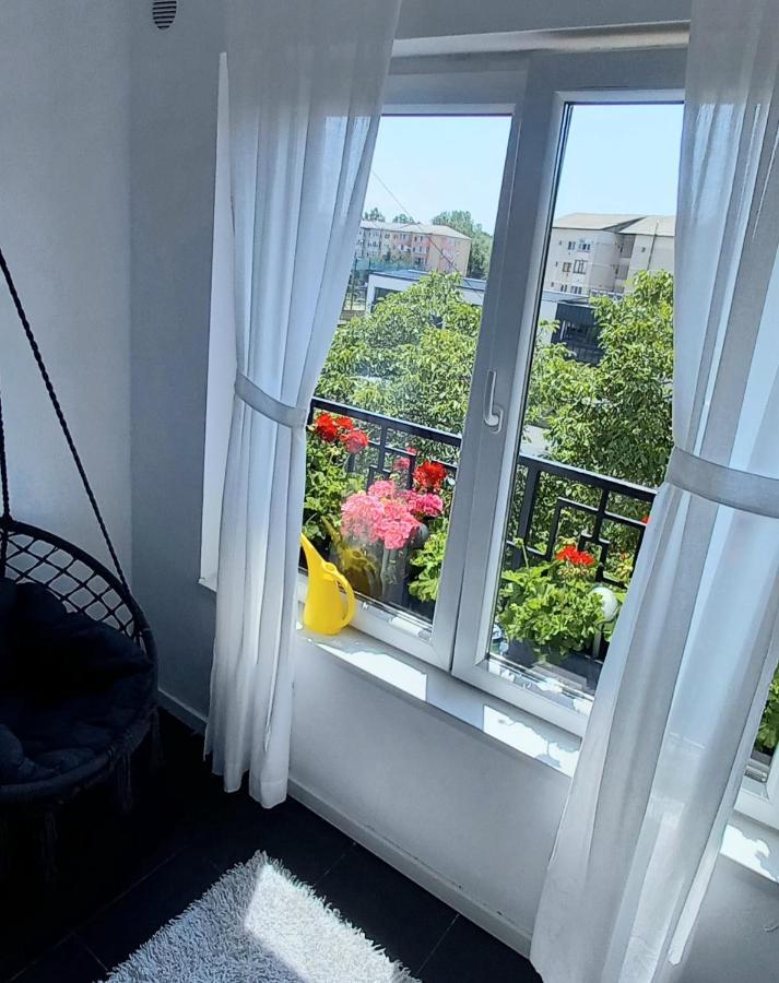 33 Coquette Apartment Baia Mare Ngoại thất bức ảnh
